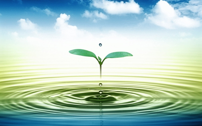 10 biện pháp góp phần bảo vệ môi trường nước